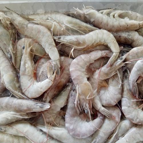 南沙印度冻虾代理进口清关步骤