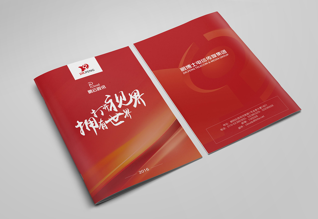 鹏云视讯宣传册|平面|书装/画册|小旗帜1 